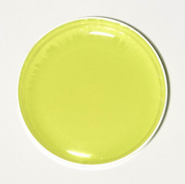 ПР02 Зеленый чай прозрачный краситель для мыла и слаймов — ANYMOLDS ПРОИЗВОДСТВО ПЛАСТИКОВЫХ ФОРМ ДЛЯ МЫЛА, ШОКОЛАДА, ГИПСА