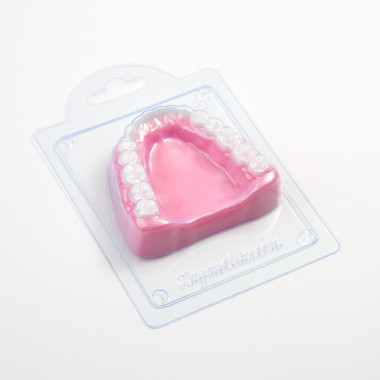 Челюсть форма пластиковая — ANYMOLDS ПРОИЗВОДСТВО ПЛАСТИКОВЫХ ФОРМ ДЛЯ МЫЛА, ШОКОЛАДА, ГИПСА