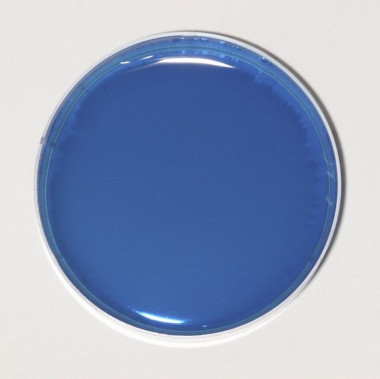 ПР07 Топаз прозрачный краситель для мыла и слаймов — ANYMOLDS ПРОИЗВОДСТВО ПЛАСТИКОВЫХ ФОРМ ДЛЯ МЫЛА, ШОКОЛАДА, ГИПСА