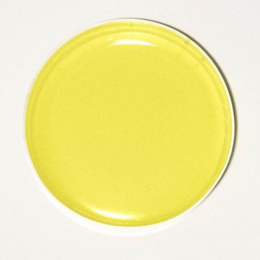 ПР08 Honey прозрачный краситель для мыла и слаймов — ANYMOLDS ПРОИЗВОДСТВО ПЛАСТИКОВЫХ ФОРМ ДЛЯ МЫЛА, ШОКОЛАДА, ГИПСА