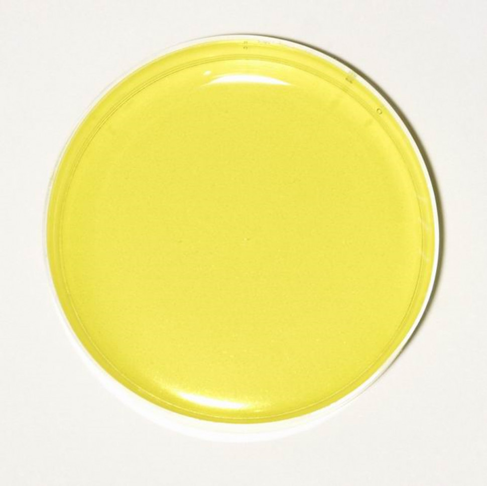 ПР08 Honey прозрачный краситель для мыла и слаймов фото 1 — ANYMOLDS ПРОИЗВОДСТВО ПЛАСТИКОВЫХ ФОРМ ДЛЯ МЫЛА, ШОКОЛАДА, ГИПСА