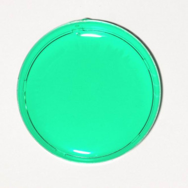 ПР09 Изумруд прозрачный краситель для мыла и слаймов — ANYMOLDS ПРОИЗВОДСТВО ПЛАСТИКОВЫХ ФОРМ ДЛЯ МЫЛА, ШОКОЛАДА, ГИПСА