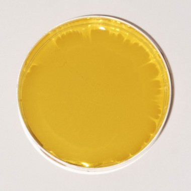 ПР11 Sunset прозрачный краситель для мыла и слаймов — ANYMOLDS ПРОИЗВОДСТВО ПЛАСТИКОВЫХ ФОРМ ДЛЯ МЫЛА, ШОКОЛАДА, ГИПСА