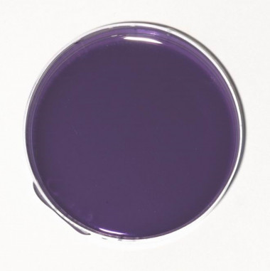 ПР13 Аметист прозрачный краситель для мыла и слаймов — ANYMOLDS ПРОИЗВОДСТВО ПЛАСТИКОВЫХ ФОРМ ДЛЯ МЫЛА, ШОКОЛАДА, ГИПСА